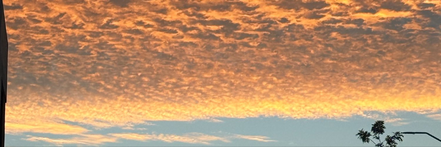 AleidaRdr's profile banner image