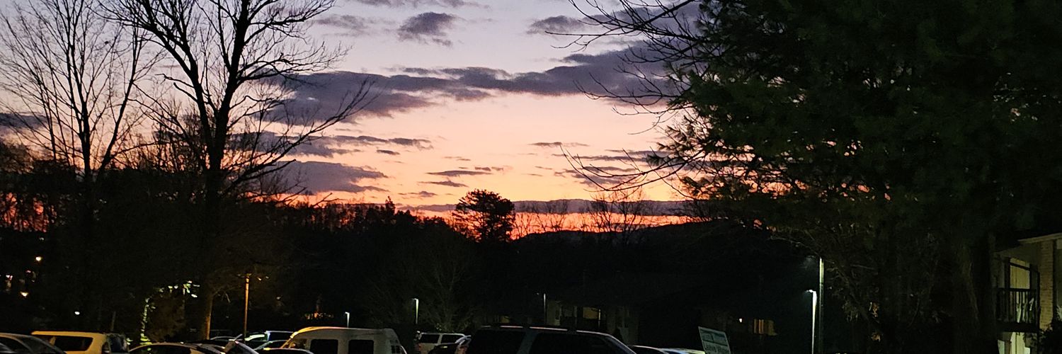 RachelMc16's profile banner image