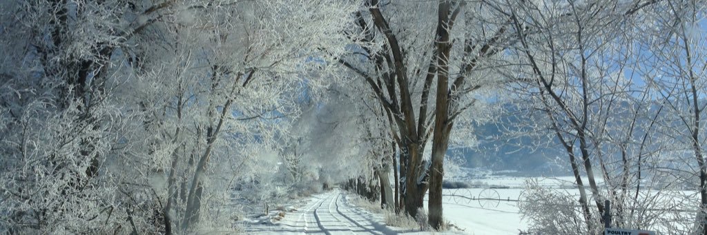 LisaCarterMT's profile banner image