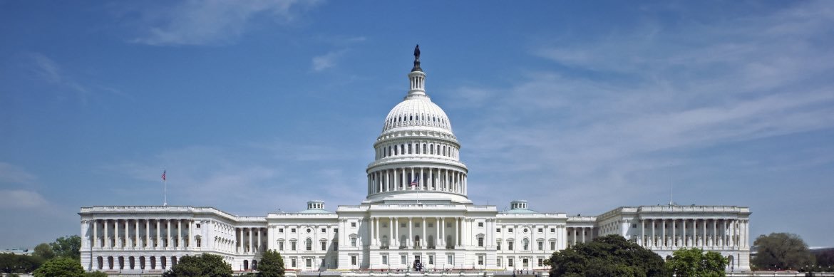 Niki Conforti banner