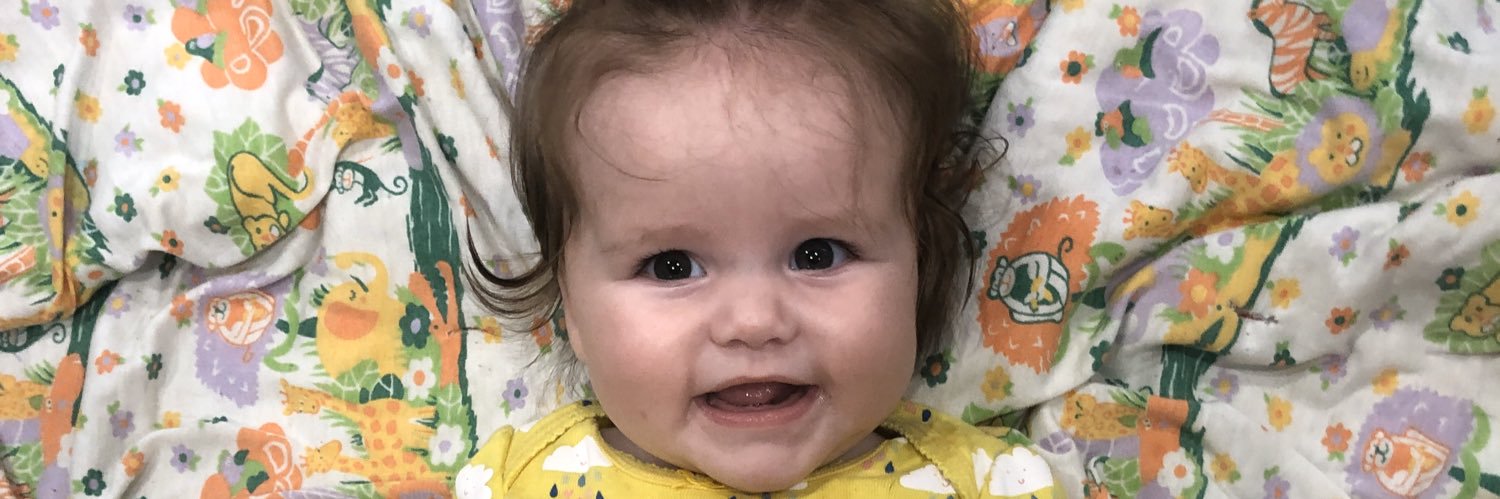 jilly banner