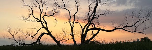 BolandSays Profile Banner