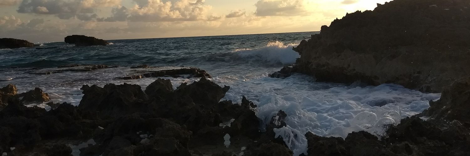 RFAraiza's profile banner image