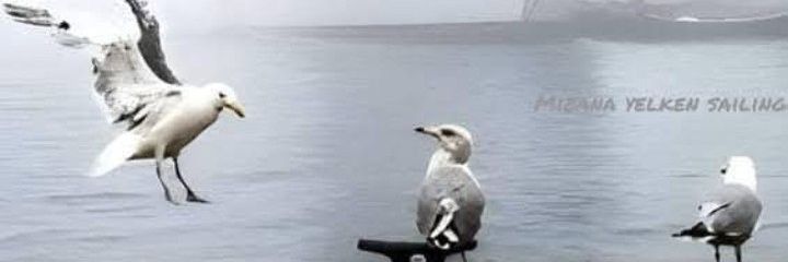 GKOSNE11's profile banner image
