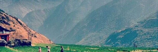 LizzyTotten Profile Banner