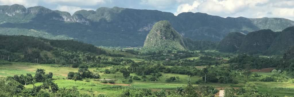 marcellis's profile banner image