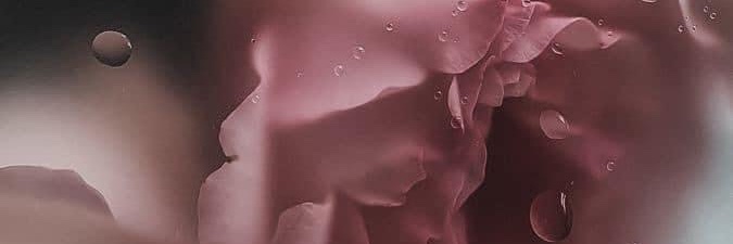 Kathryn Palacios banner