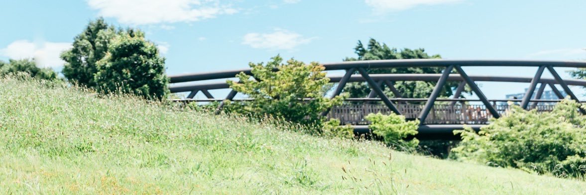 びなかめ |海老名にすむ、時々撮り人🍤📷 banner