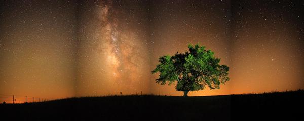 SofiahMansmor's profile banner image