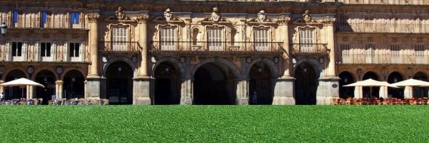 helmanticgrass's profile banner image