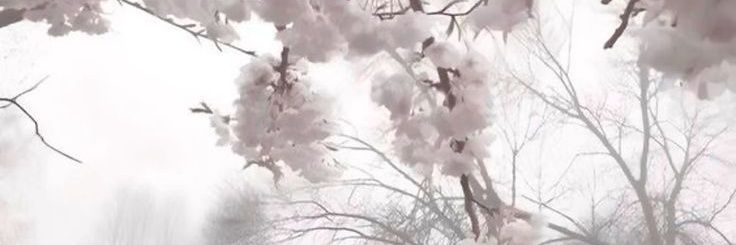 𝒮𝒾𝒸𝓀_𝓭𝓮𝓪𝓻𝓼𝓽 .ᐟ 𓏲ּ𝄢 banner