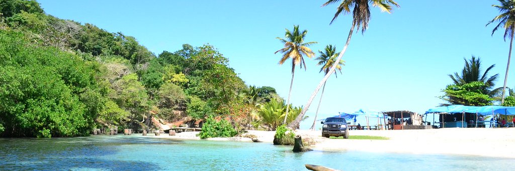 kinky jam 🇯🇲🇯🇲🇯🇲 banner