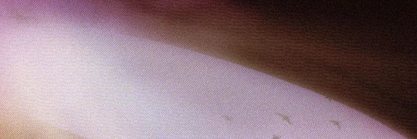 TheOracleReadsU Profile Banner