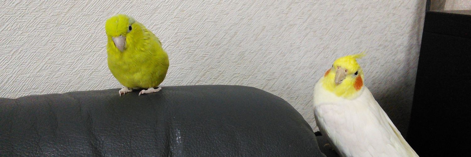 k1225jp's profile banner image