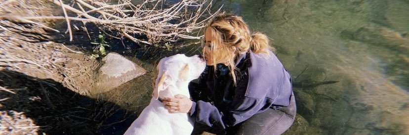 allisonkile's profile banner image
