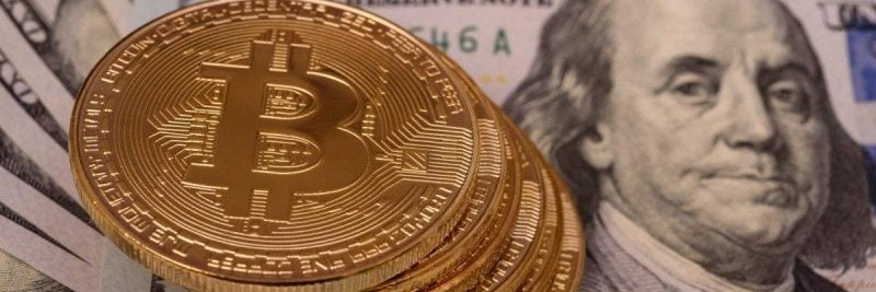 CryptoKobzar's profile banner image