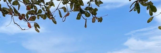 ffreizee's profile banner image