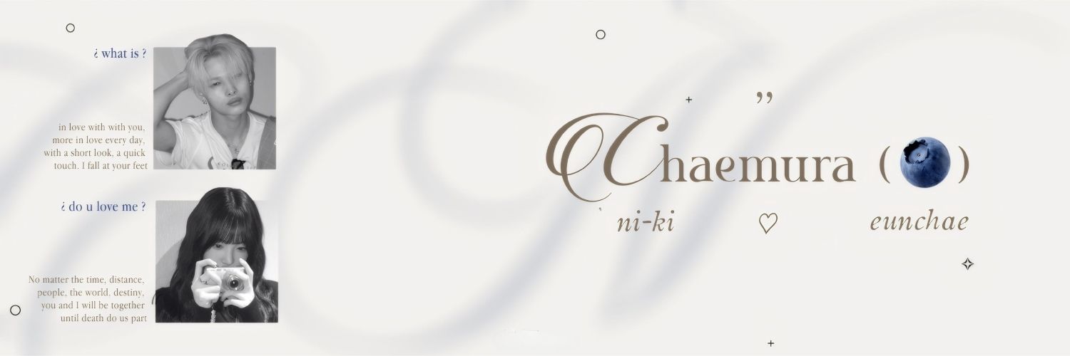n, arin 🪿 banner