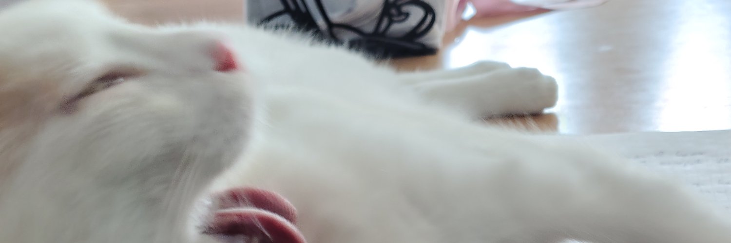 CescQuintero's profile banner image