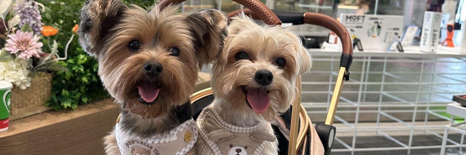 Third เทพลีลา banner