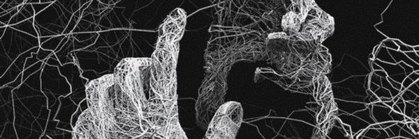 pasos_dwnq Profile Banner