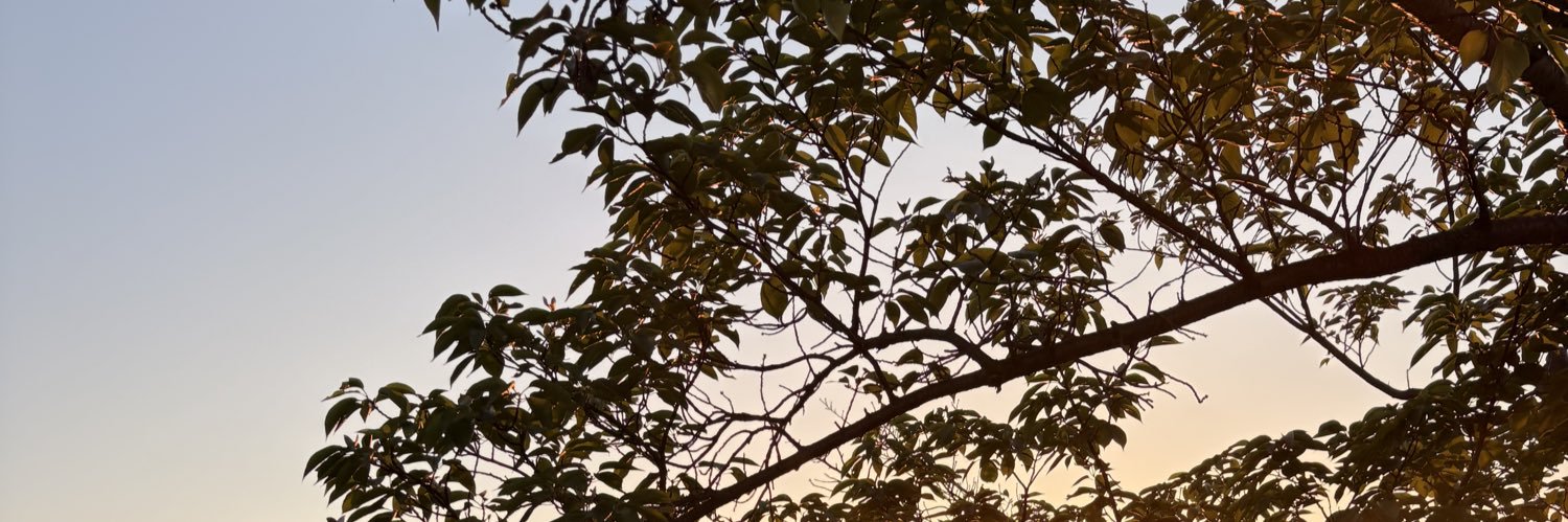 93nWTm2APaucNmp's profile banner image