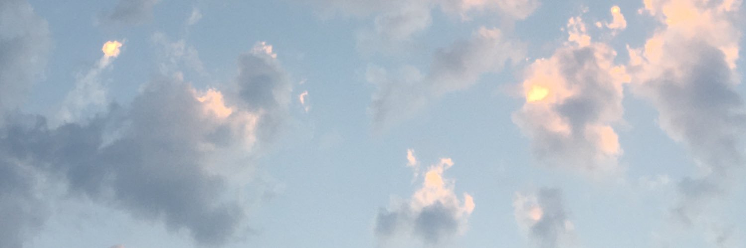 dilanaydoner's profile banner image