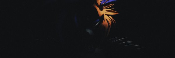 RedFoxOffRF Profile Banner