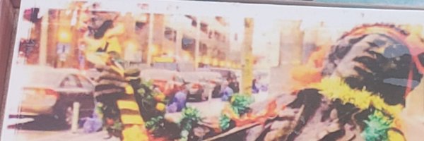 StefanRodgers4 Profile Banner