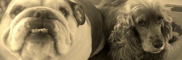 MBulco Profile Banner
