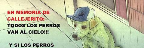 CALLEJERITO banner