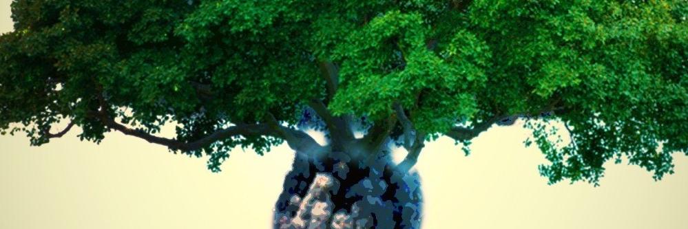 _ToSeven_'s profile banner image
