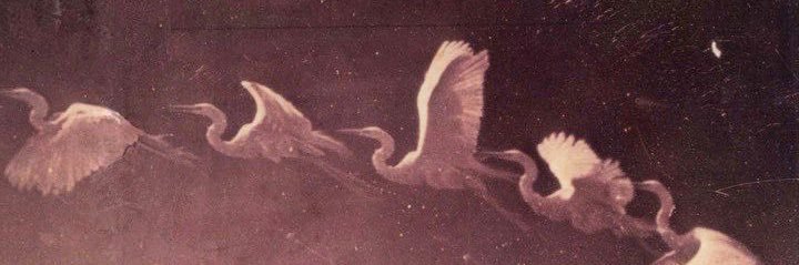 🌝 banner