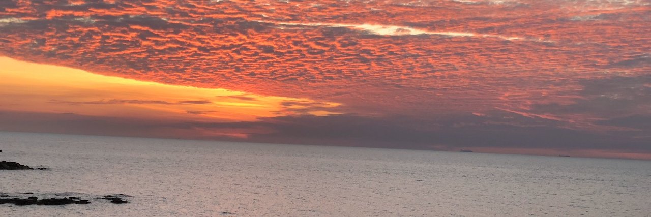 eytanlenko's profile banner image