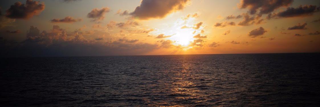 Megan Notarte banner