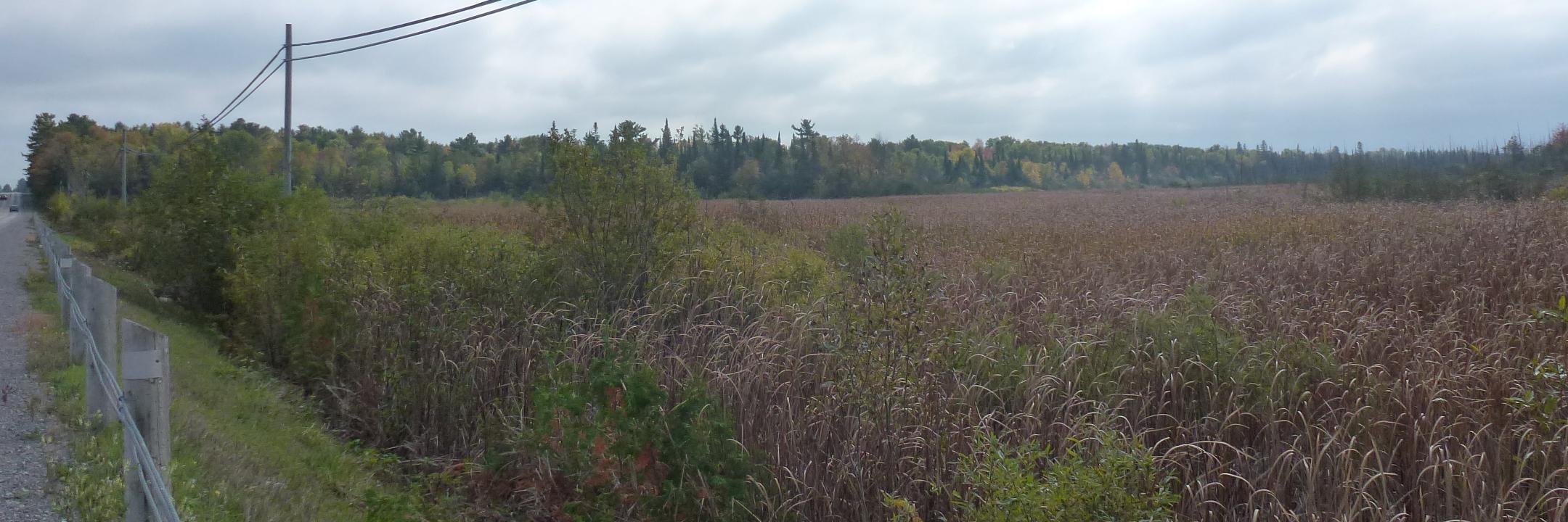 coreyfallslake's profile banner image