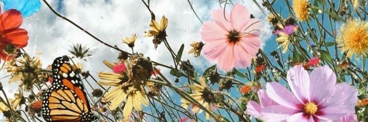 rexallspretzels's profile banner image