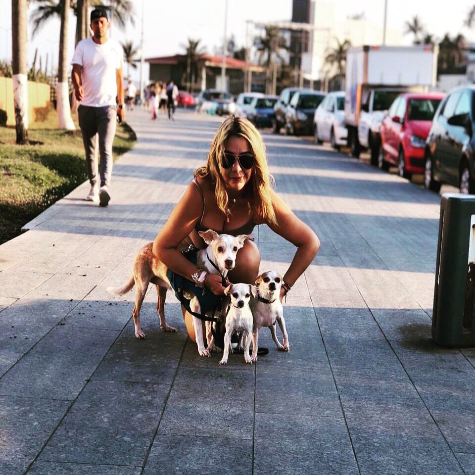 Hu_Carbonell's profile banner image