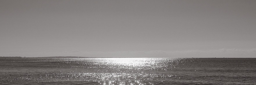 BowerbankDaniel's profile banner image