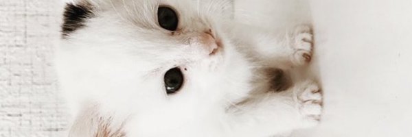 Azel614722471 Profile Banner