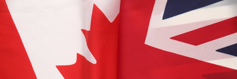 Dana Leeson banner
