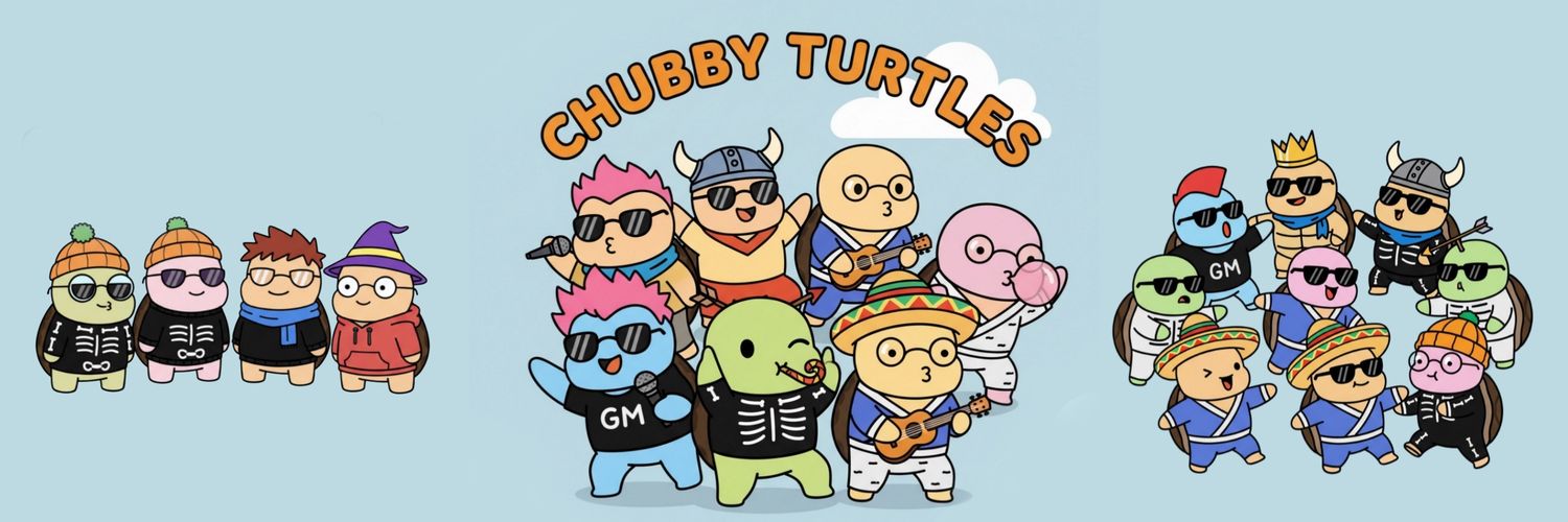 Chubby Turtles NFT banner