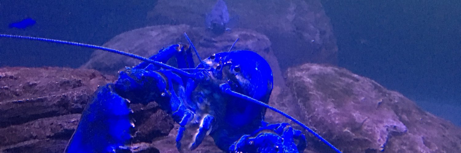 Portozzzz99's profile banner image