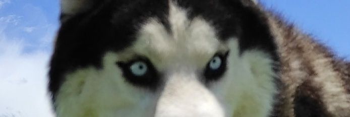 felipelr92's profile banner image