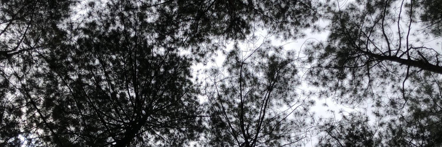 heyanissa's profile banner image