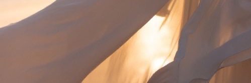 紗英 井上 banner