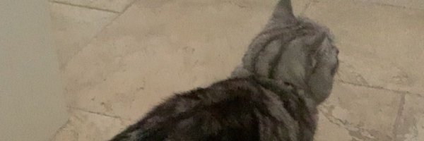uhzenuhr Profile Banner