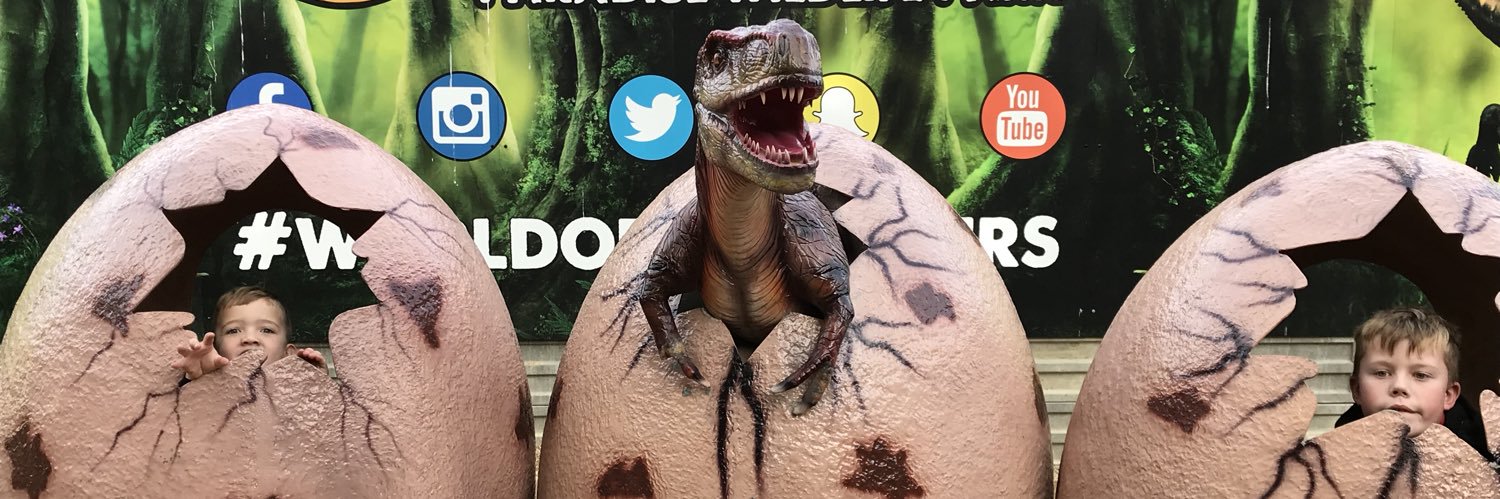 NEVANS333's profile banner image
