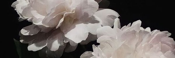 kasikczyta Profile Banner