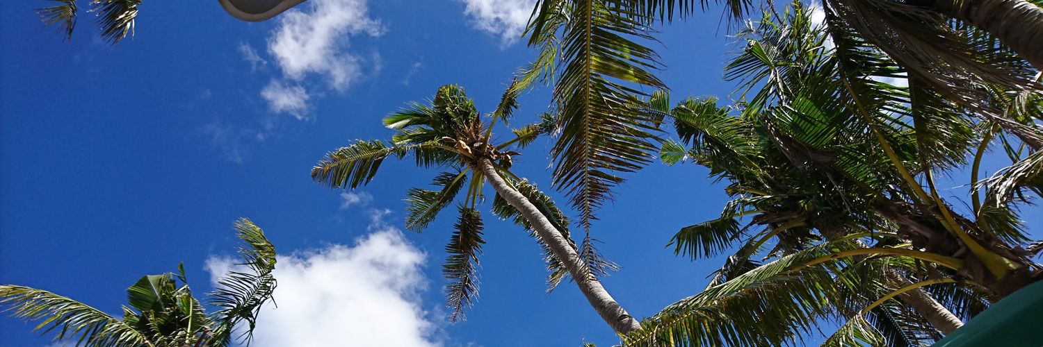 ThanReason's profile banner image